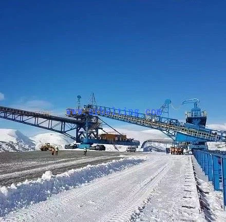 Tali Pinggang Penghantar Tahan Sejuk EP/NN